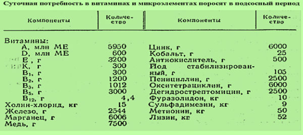 Суточная потребность поросят в витаминах