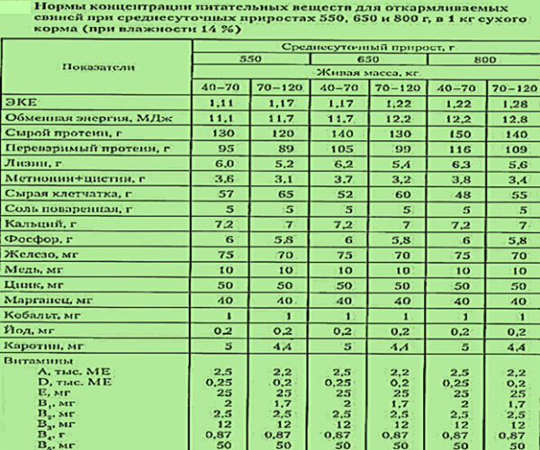 Концентрация питательных веществ в организме свиней