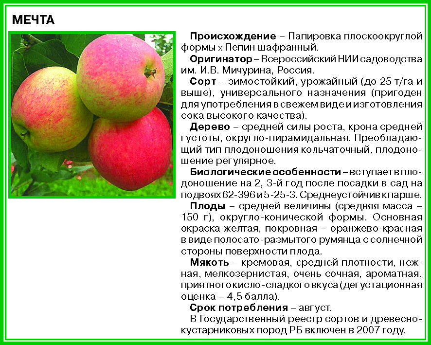 Как посадить и ухаживать за растением, обработка от паразитов, когда сажать и собирать урожай, фото и видео