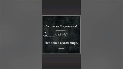 "Ля рахта фид дунья" как часть народной мудрости