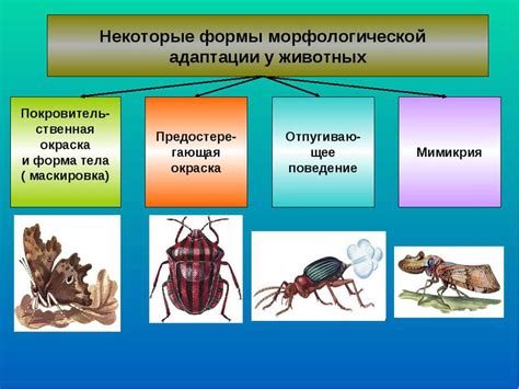 Адаптация организмов