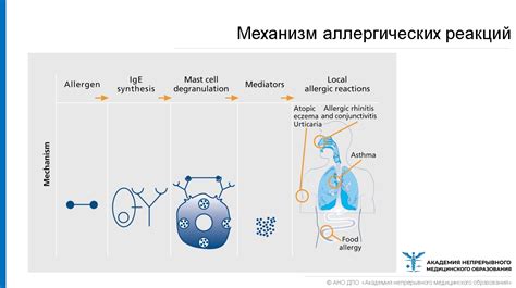 Аллергические реакции и заболевания