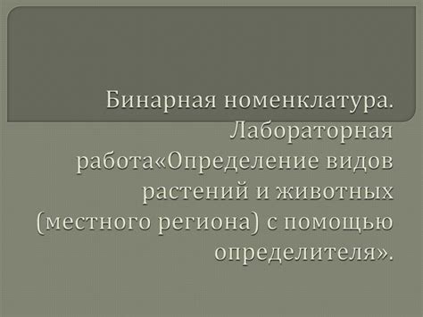 Бинарная оценка: понятие, преимущества и особенности