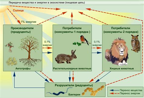 Биологический процесс и организм