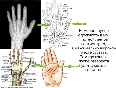 Важность самого большого пальца на руке