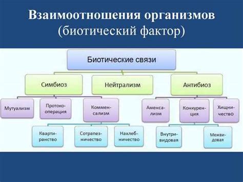 Взаимодействие живых организмов