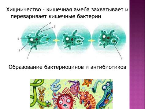 Взаимодействие с другими организмами