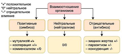 Взаимодействия между отраслями: основные аспекты