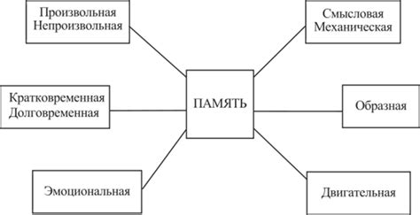 Взаимосвязь памяти и совести