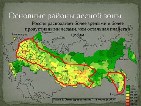 Виды лесных ресурсов