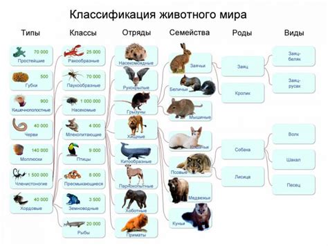 Виды эксплуатации животных