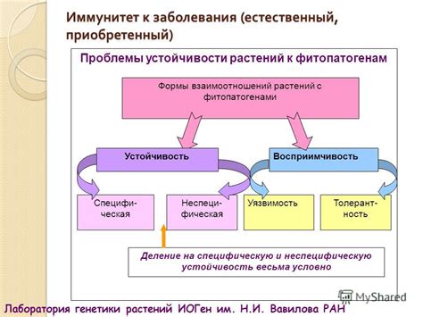 Влияние внешних факторов на самоломанность