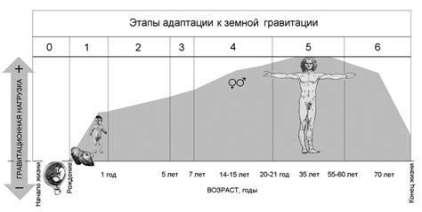 Влияние гравитации и возрастных изменений