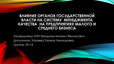 Влияние иных органов государственной власти на общество