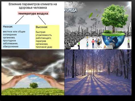 Влияние мешочка с землей на здоровье