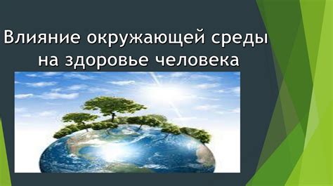 Влияние окружающей среды на кортико-медуллярную дифференциацию