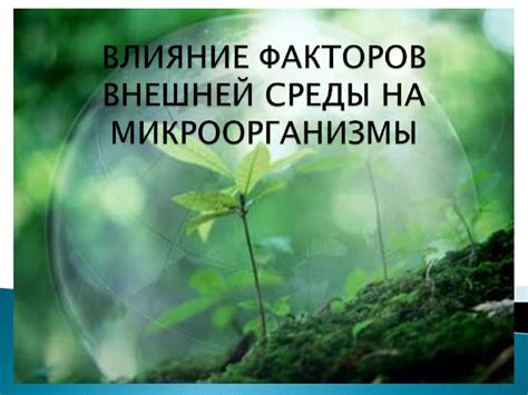 Влияние окружающей среды на щекотание пяток