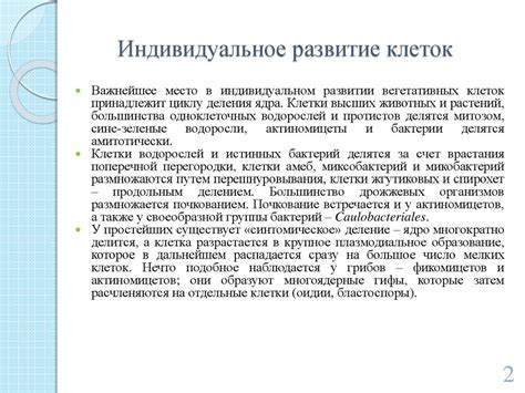 Влияние условий среды на развитие ассимилирующих побегов