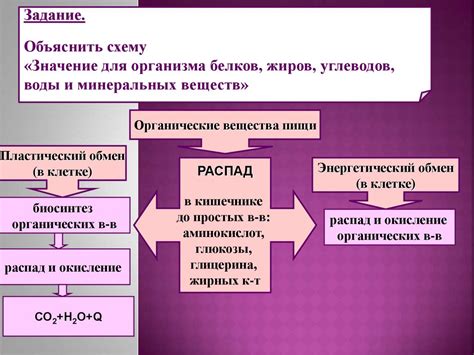 Влияние энергии на процесс и восстановление исходных веществ