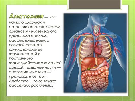 Внутренние признаки уникума человека