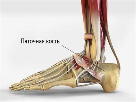 Возможные последствия щекотания пяток