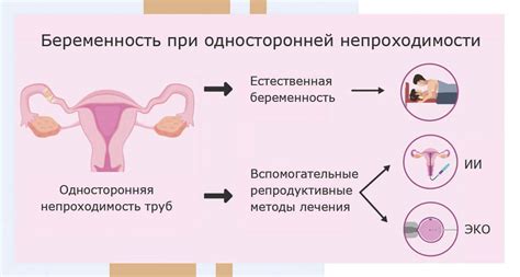 Возможные причины нелоцирования маточных труб