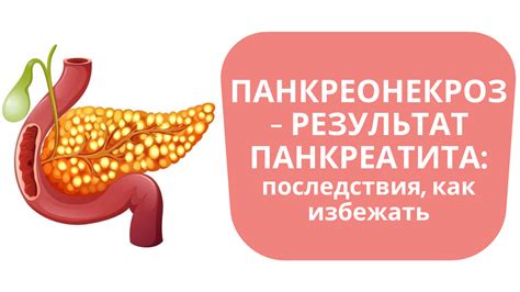 Восстановление работы поджелудочной железы