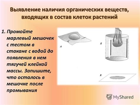 Выявление источников появления мешочка с землей