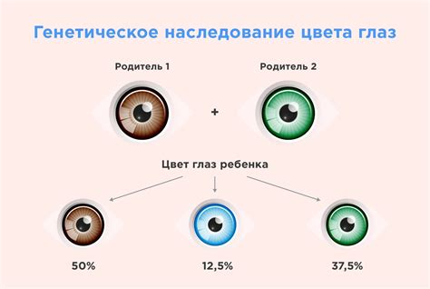 Генетическое определение трехцветных глаз