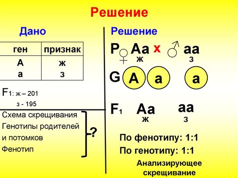 Гены и наследование