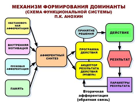 Демонстрация доминирования