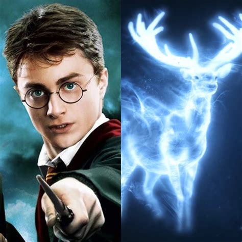 Заклинание «Expecto Patronum»