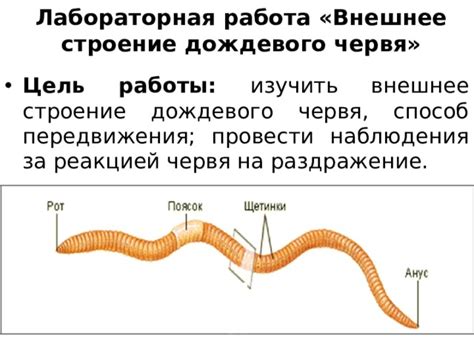 Значение дождевого облачка