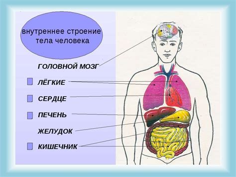 Значение настоящего человека 3 класс