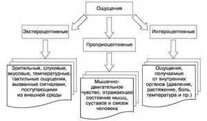 Значение ощущения присутствия человека рядом