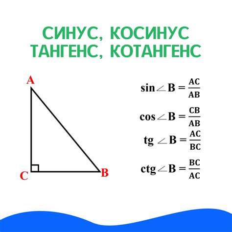 Значение понятия "внутри угла взята точка": объяснение и примеры