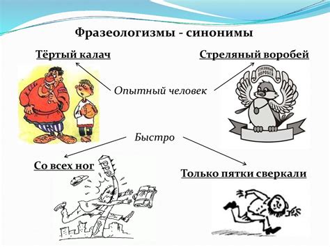 Значение просторечных фразеологизмов в языке