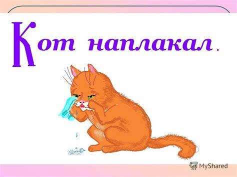 Значение фразеологизма "кот наплакал"