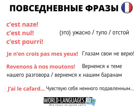 Значение фразы "сова бьян" на французском языке