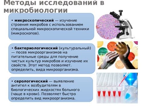 Изучение spp в микробиологии