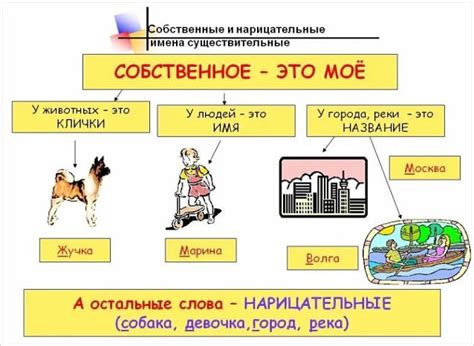 Иноязычные существительные: что это и как использовать