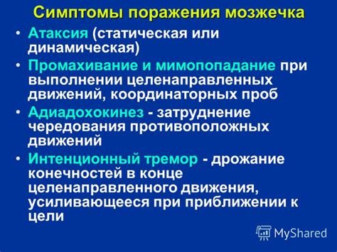 Интенция в выполнении координаторных проб: все о методике и преимуществах