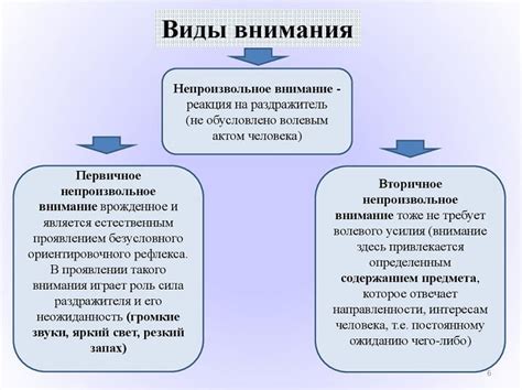 Интерес и внимание: