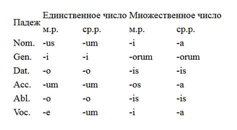 Исключения из правила о согласовании прилагательных в латинском языке