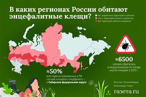 Использование прозвища котик в разных областях жизни