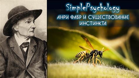 История и существование