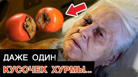 История появления одного хурма