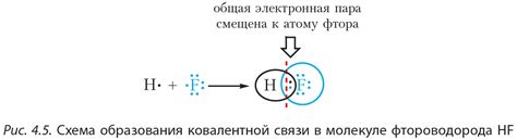 Какая роль ковалентной связи в природе