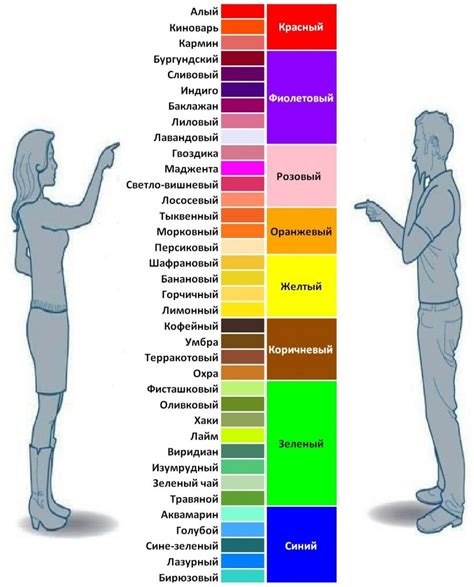 Какие цвета выбирает человек