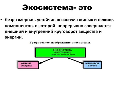 Каково значение экосистемы МТС и почему она важна для компании